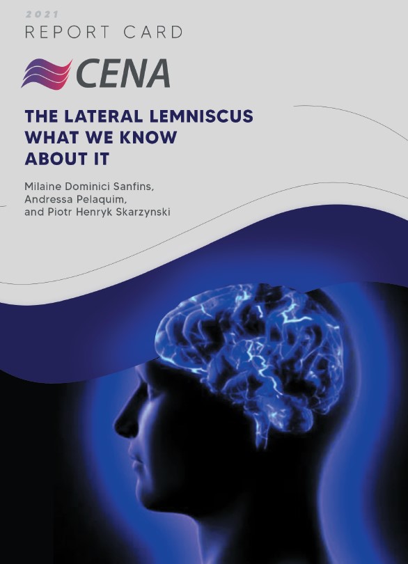 lateral-leminiscus.jpg